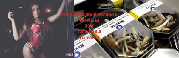 ECSTASY Алексин
