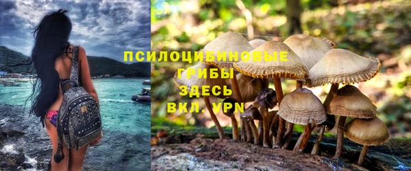 круглые Алексеевка