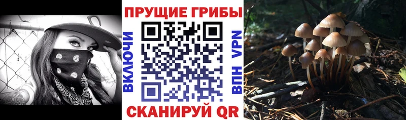 Псилоцибиновые грибы ЛСД Пласт